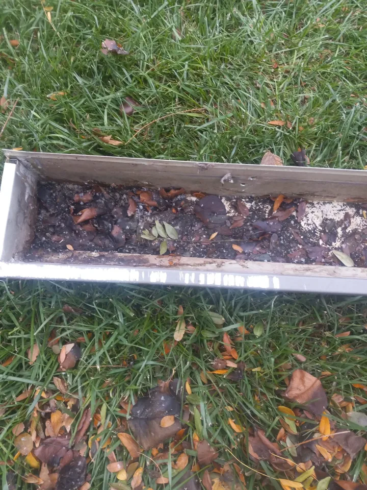 Debris and packed leaves filling a residential gutter before cleaning